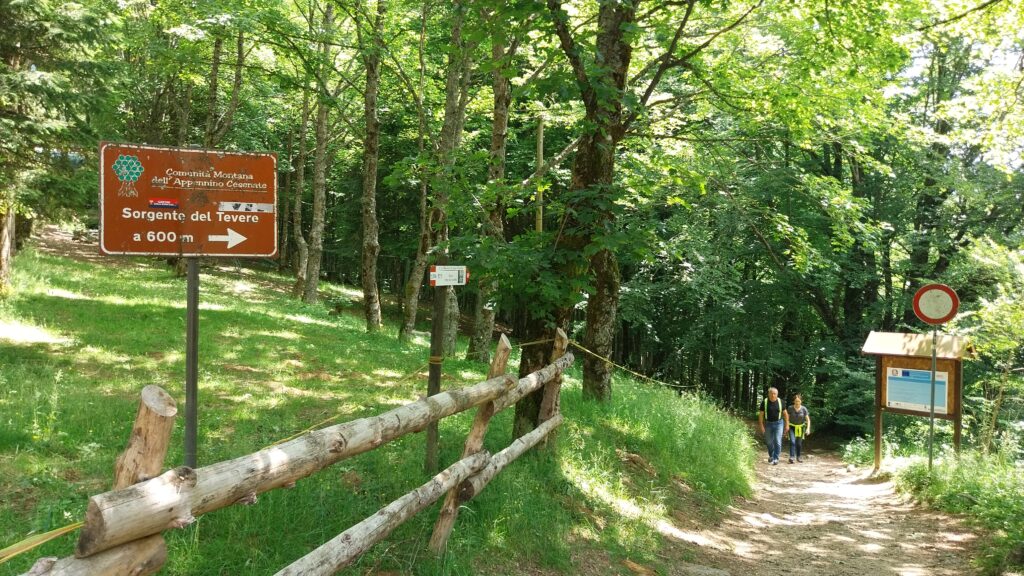 Monte Fumaiolo ingresso del sentiero per le sorgenti del fiume Tevere.