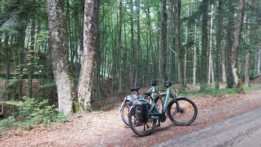 Moustache Samedì Xroad lungo la strada che nel bosco sale al Monte Fumaiolo.